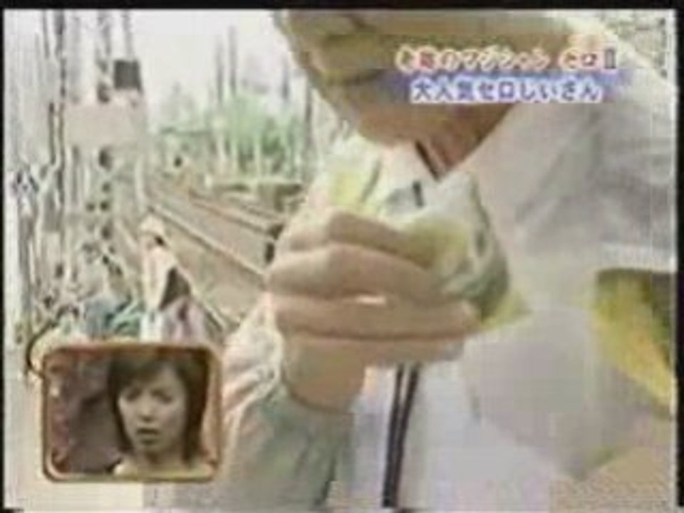 Illusions japonaises