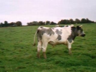 RACING CLUB MAUBEUGE FOOTBALL 59 PROVINCES BUT FOOT NORD