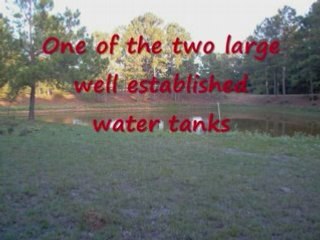 Circle T Ranch in Bastrop TX