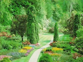 MA RELIGION DANS SON REGARD...