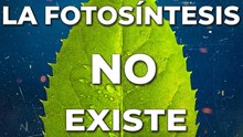 ¿La fotosíntesis tiene fallas? Las 7 dudas más grandes sobre las plantas y el intercambio de gases