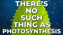 What's Wrong with Photosynthesis? Top 7 Burning Questions About Plant Gas-Exchange Theory