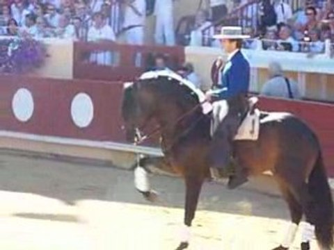 Paseo corrida à cheval Bayonne 2008 partie2
