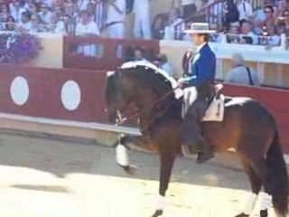 Paseo corrida à cheval Bayonne 2008 partie2