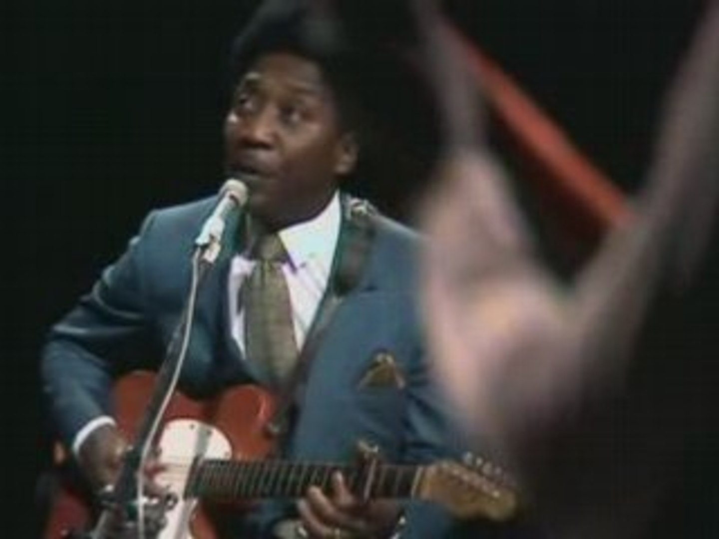 Muddy Waters - honey bee - Vidéo Dailymotion