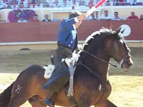 Pablo Hermoso de Mendoza Bayonne 2008