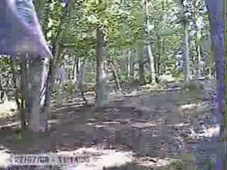 Video 27 - 27 Jul 08, 11h13