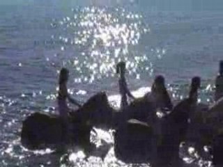 MB - Cheval Andalou Baignade