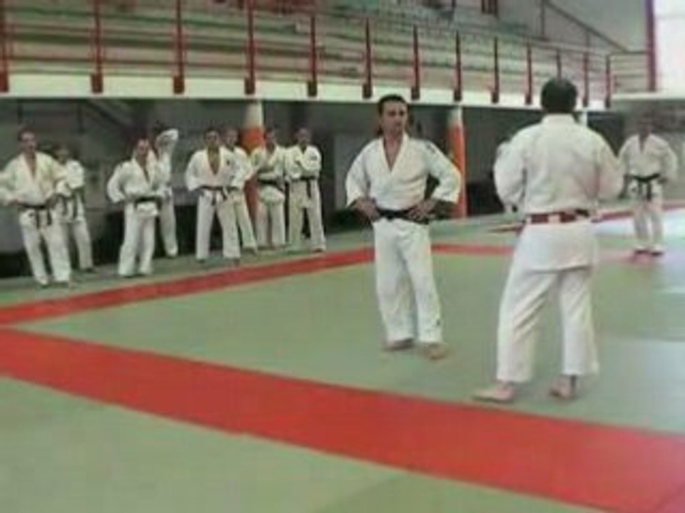 démonstration yves delvingt tai otoshi
