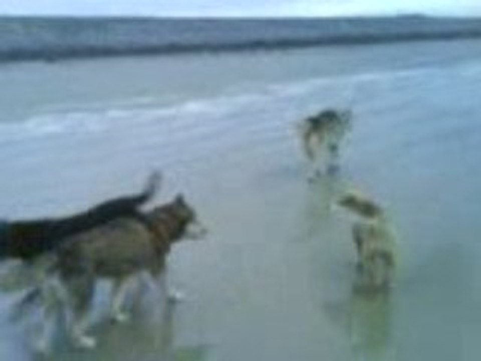 balade sur la plage