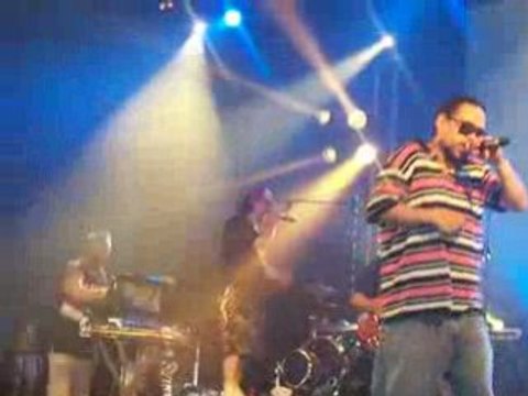 Svinkels - Live @ Dour 08 (6)