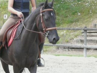 Séance a pied et monté