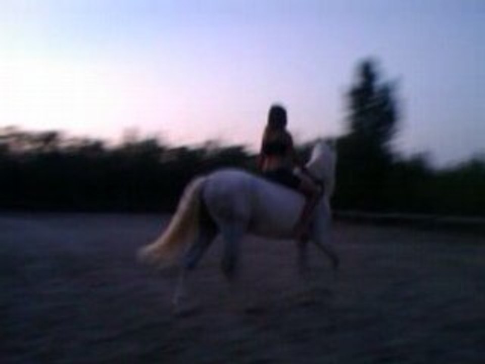 pablo en licol