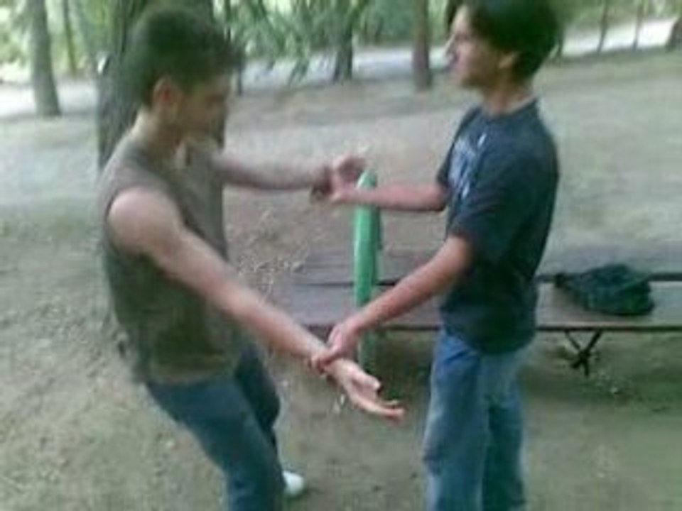 04082008(001)
