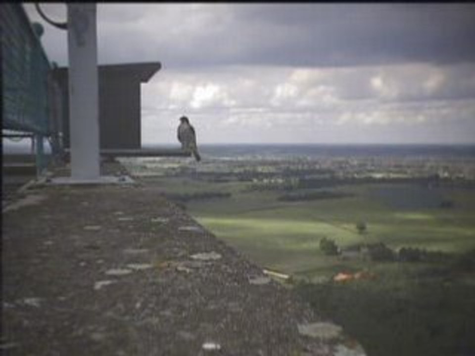 4 aug 14:59
