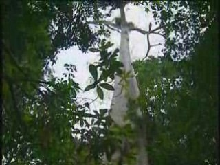 documentaire - bresil 6/6