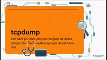 Tool Linux yang Bisa Melihat Semua Traffic Jaringan