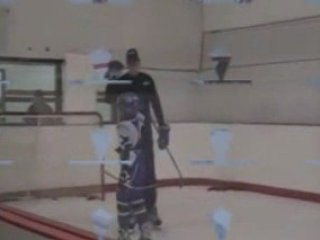 Hockey Skills Development Center. Train Like the Pro's