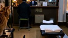 残業帰りの地下で猫に揉まれる5分間を、小声で実況してみた【猫の手整体】#shorts