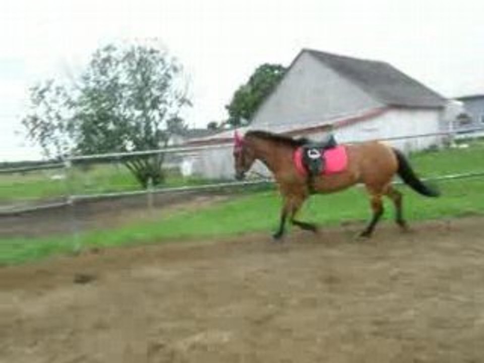 Henri travail en liberté