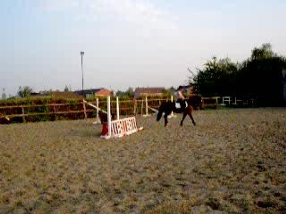 Van Nan CSO Mai 2006  oxer de cubes