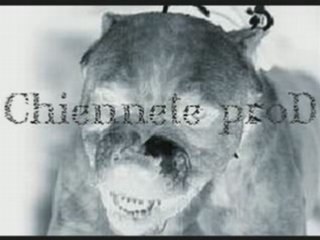 instru kassD10 a chiennete prod by sam's