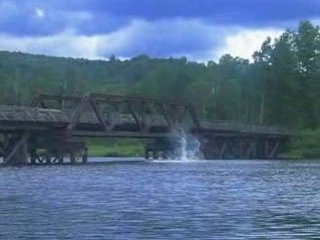 Mook and Macdonald Life or Death