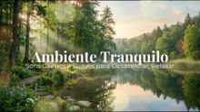 Ambiente Tranquilo | Sons Calmos e Suaves para Desacelerar, Relaxar