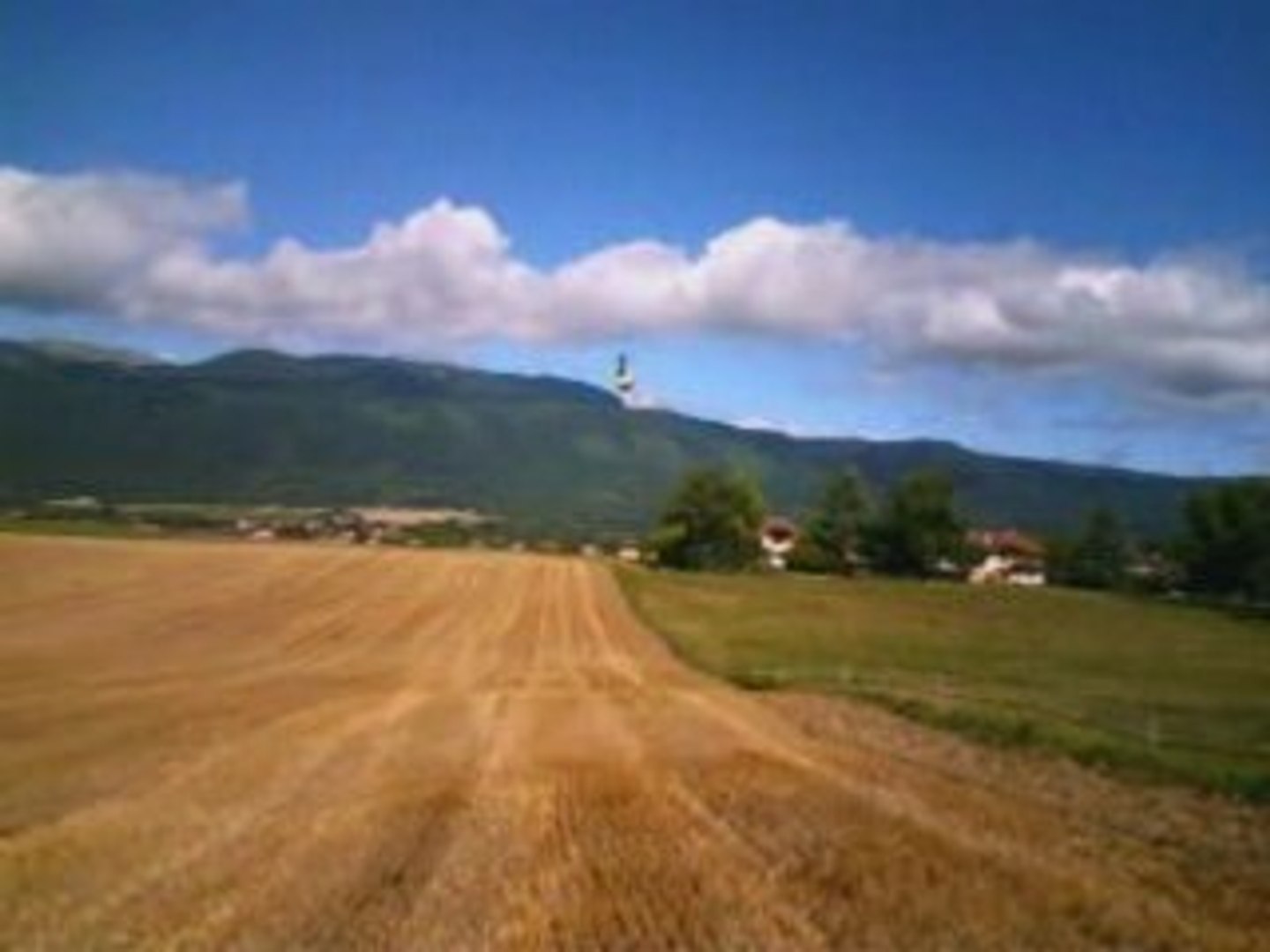 ⁣HDX450 # 003 - Translations