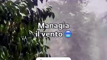 Managia il vento 🥶 a Milano 🇮🇹.mp4