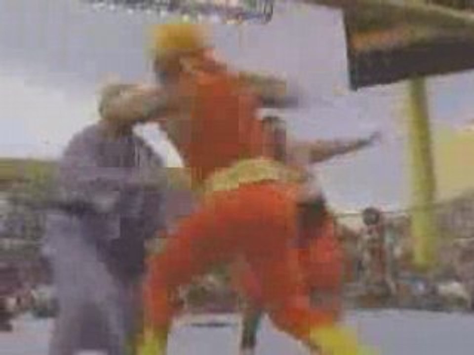 WWE Hulk Hogan vs Yokozuna WM IX