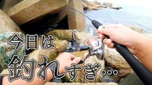 テトラの穴でカサゴ連発｜仕掛けを落とすとすぐ反応が出る根魚パラダイスの穴釣り