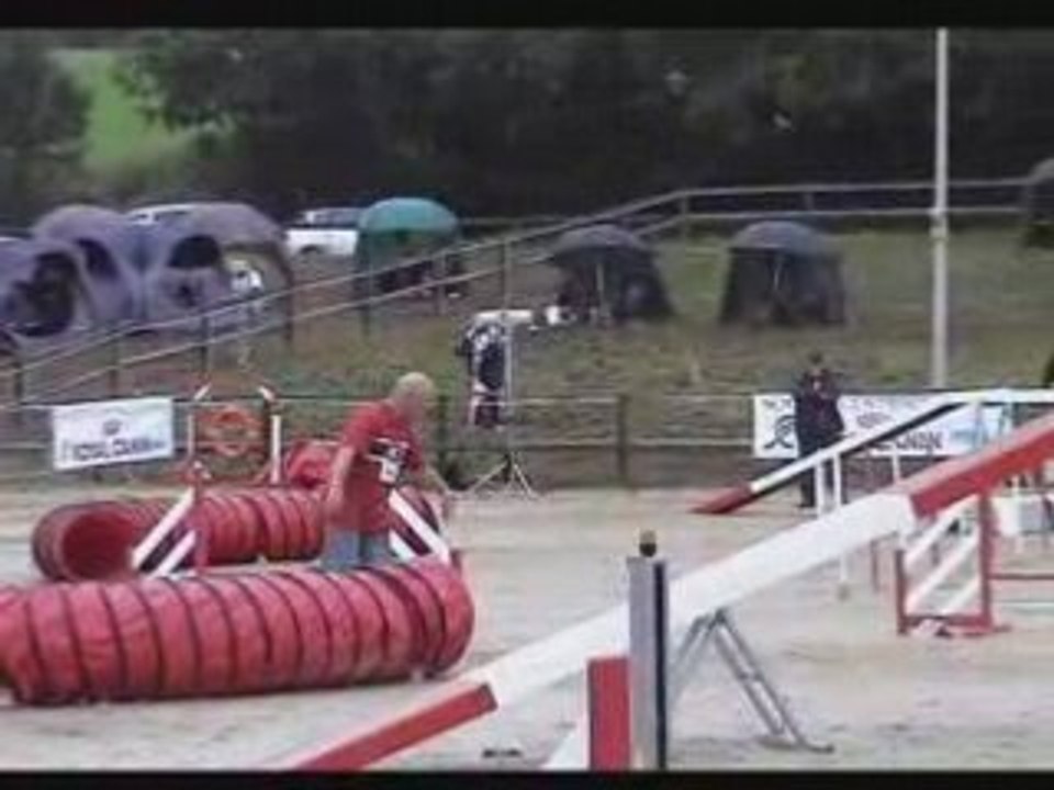 Rock Star Agility Masters 2008