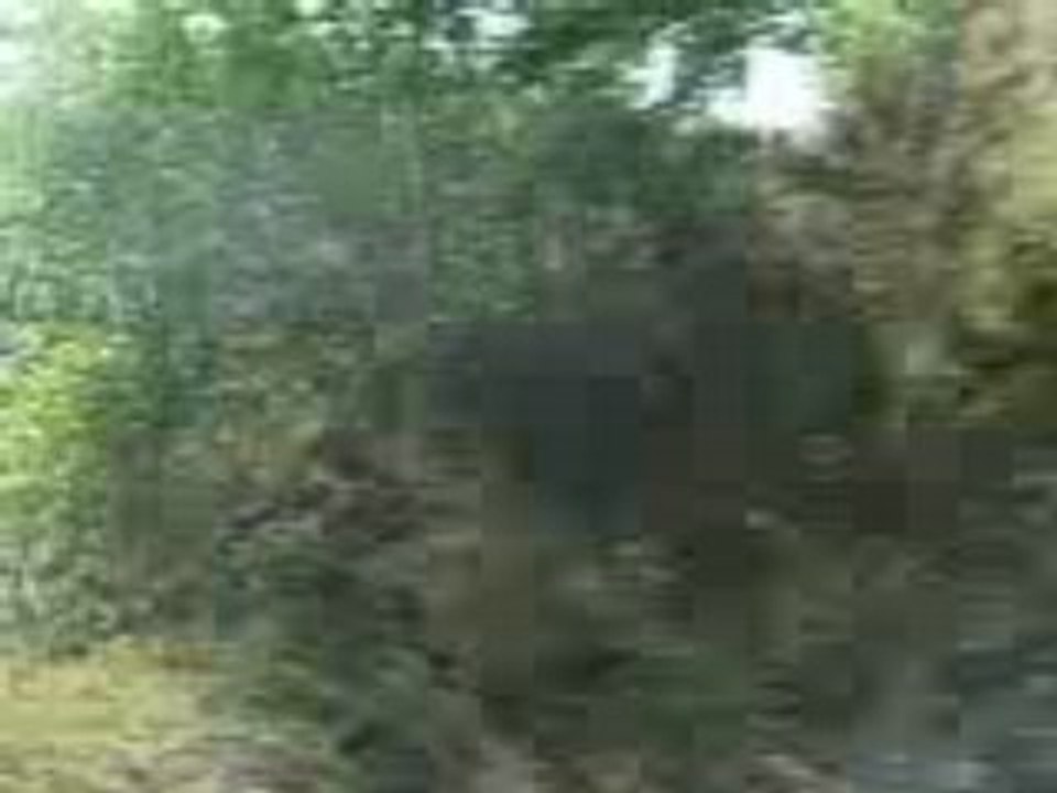 TRAIN