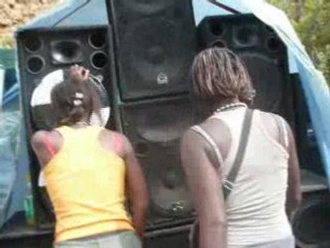 des francs comtois en bourgogne 13