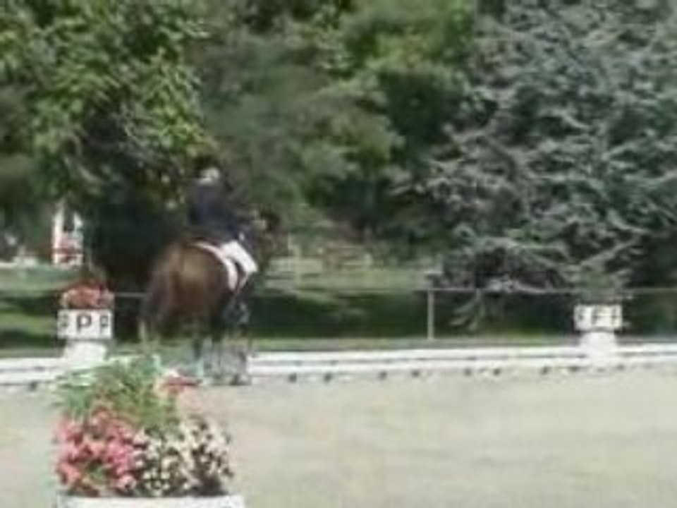 Dressage Ivry de Montoux