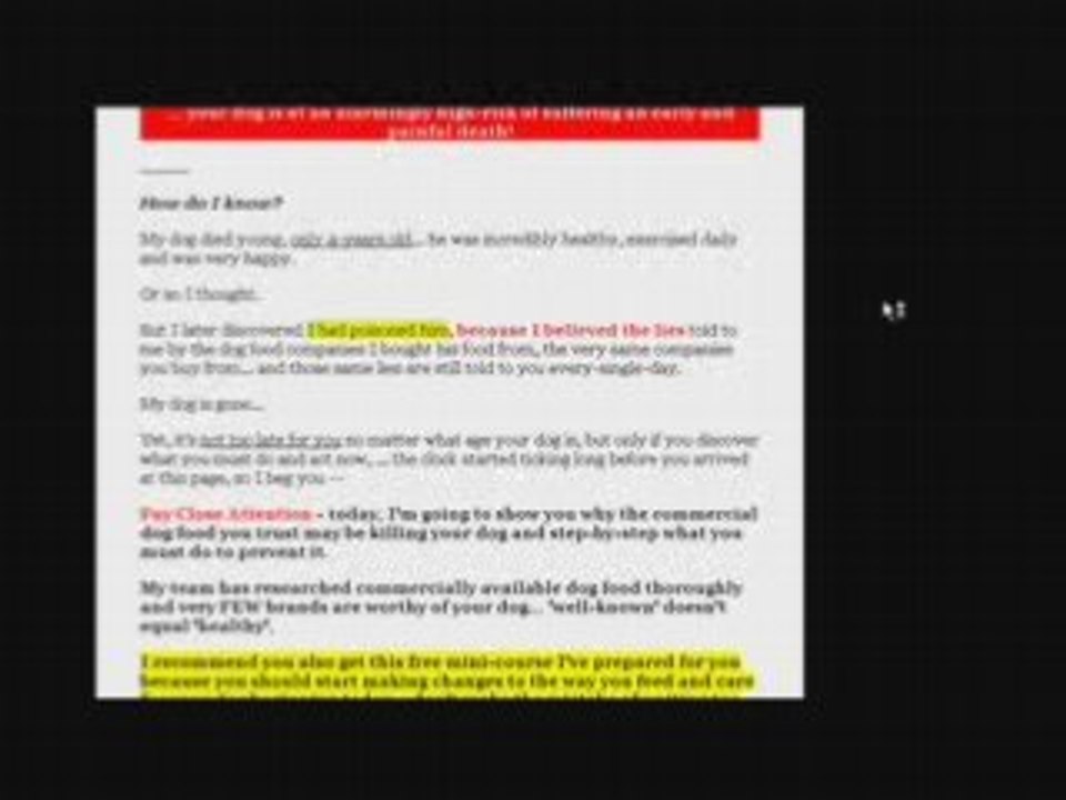 Dog Food Secrets - What To Feed Your Lovely Dog!