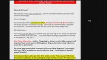 Dog Food Secrets - What To Feed Your Lovely Dog!