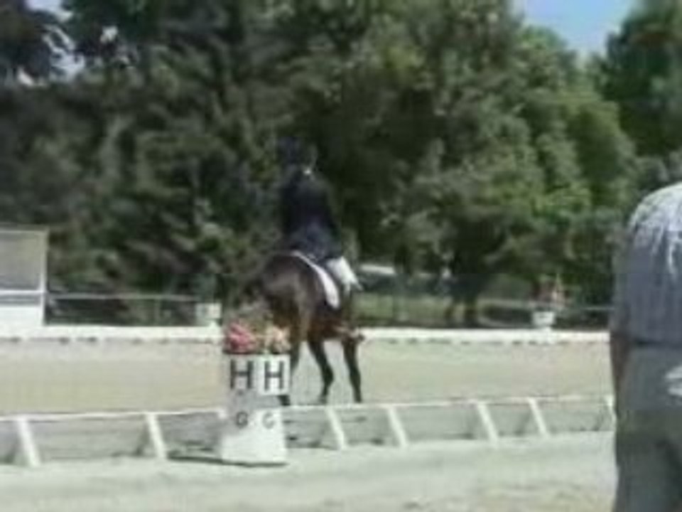 Dressage Mon Nantano
