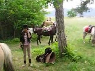équitation romanaise: PREUVE
