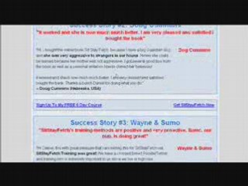 Sit Stay Fetch - Proven Dog Obedience Training Guide!