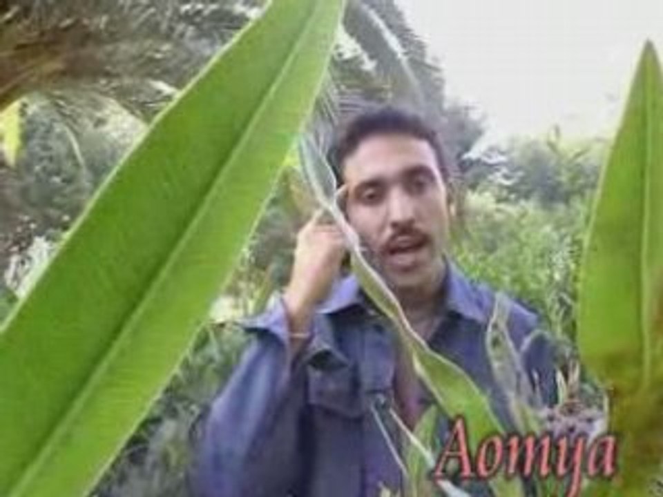 Rachid asmon - part N°1