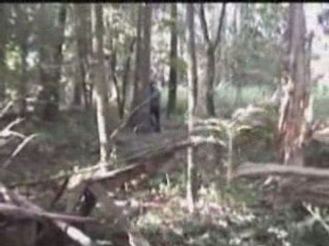 Airsoft Scorpion and Sniper Ransart