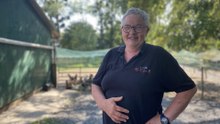 Marie-Jeanne, la reine du poulet