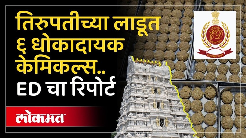 तिरुपतीच्या लाडूंमध्ये प्राण्यांची चरबी नाही पण... ED चा धक्कादायक दावा | Tirupati Laddu Controversy