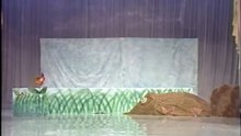 27回11番 カメレオン