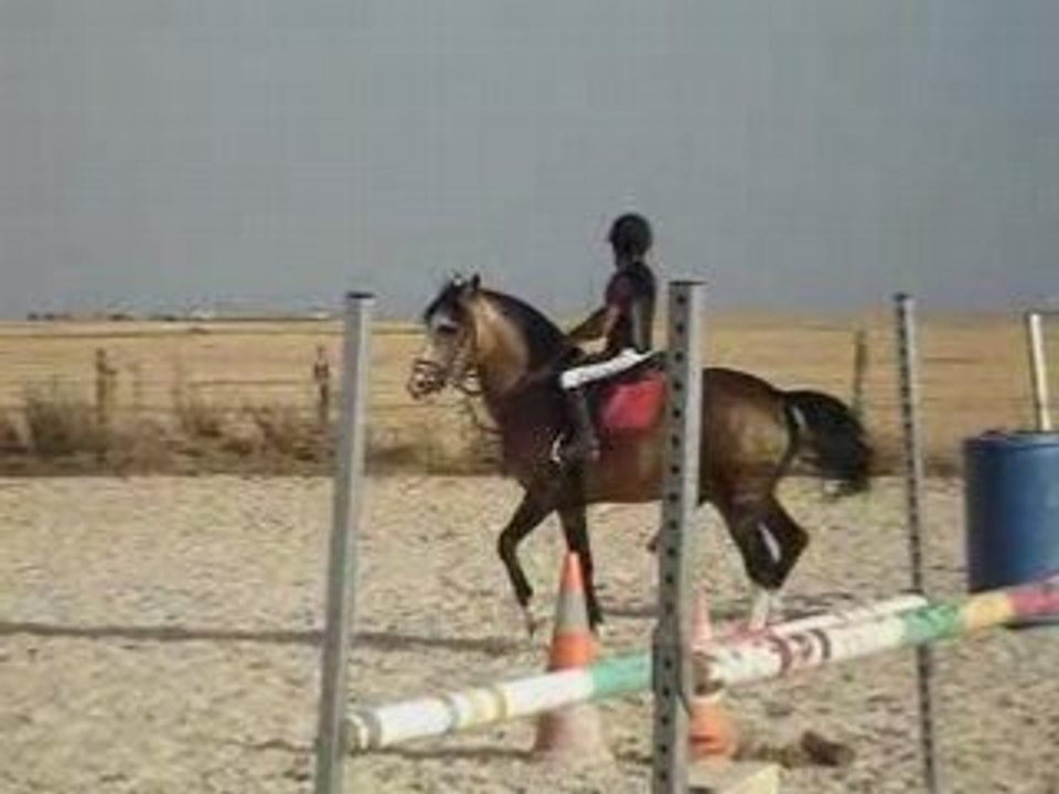 Coline 2_0001