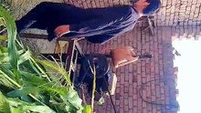 Punjabi mahol