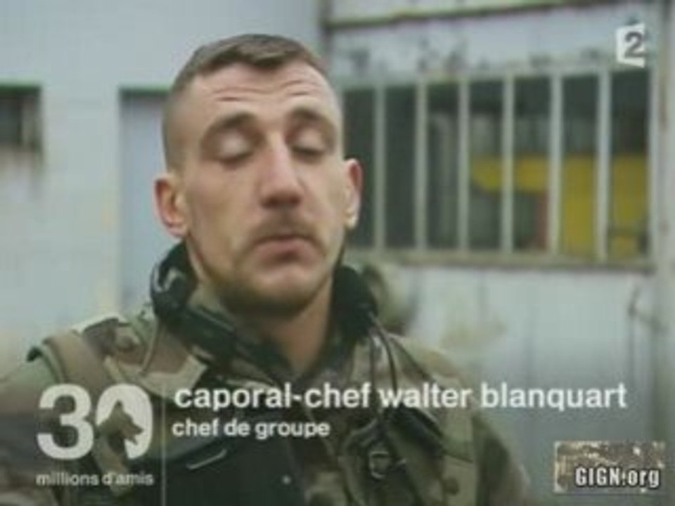 A_l_ecole_des_chiens_de_guerre