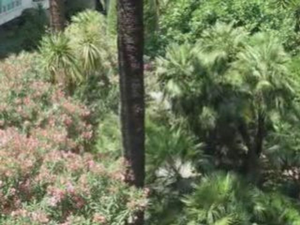 Nice, France, France Nice, Nice France, france nice